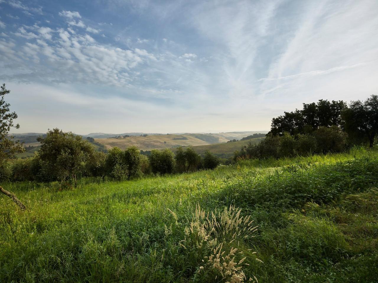Borgo Lucignanello Bandini Villa San Giovanni d'Asso Luaran gambar